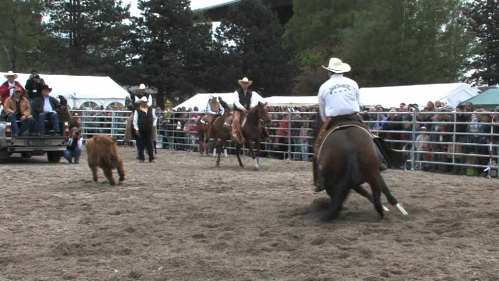 Pferd International Muenchen Riem - die Pferdemesse in Bayern - Trailer