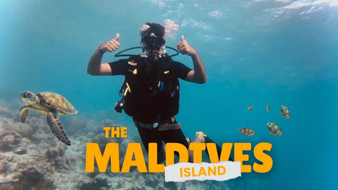 Maldives island Vlog l Free Maldives Trip l Merchant Navy Travel Vlog l #travelvlog #maldives #navy