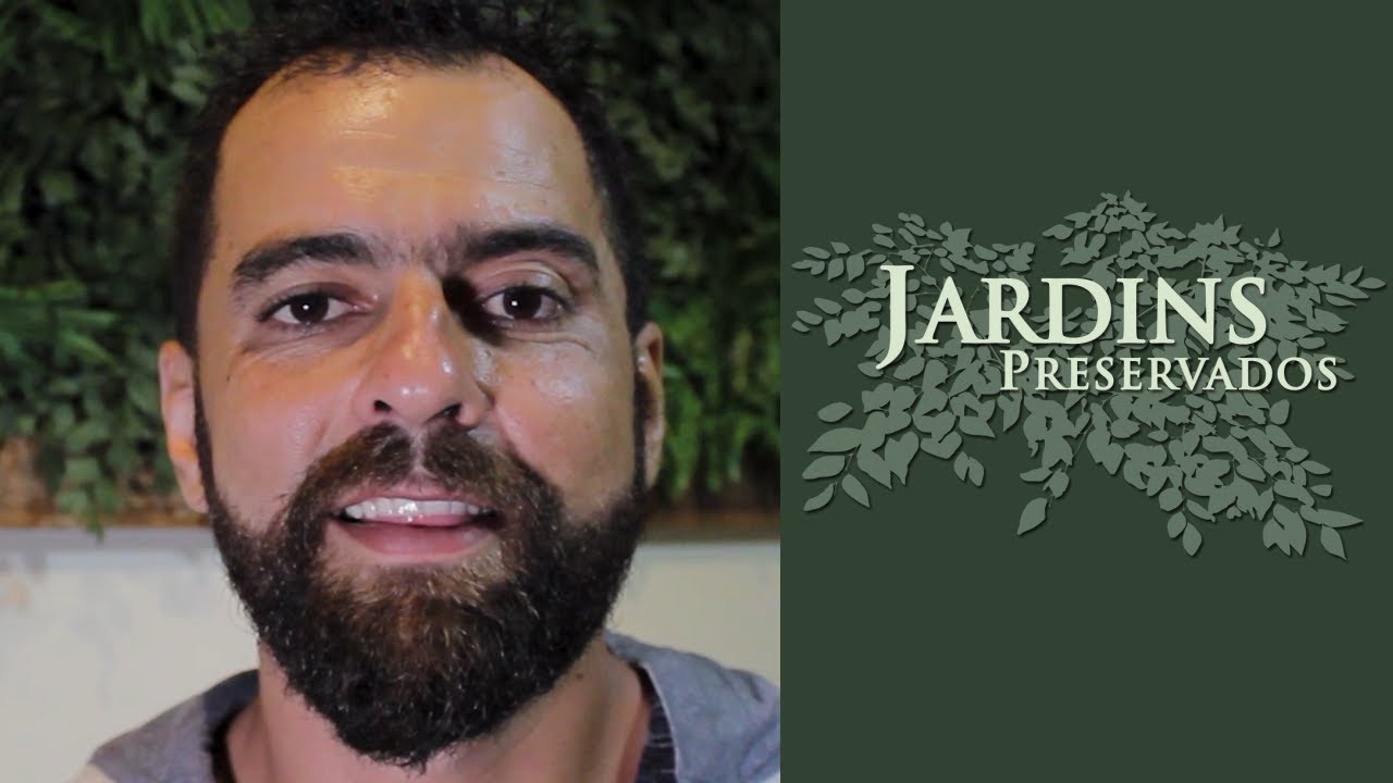 Tudo que você precisa saber sobre jardim preservado