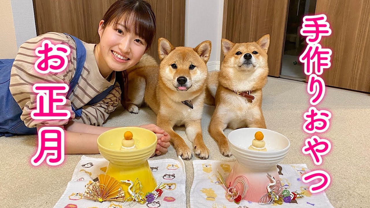 愛犬にお正月のおやつを作ってみた【鏡餅風犬パン】