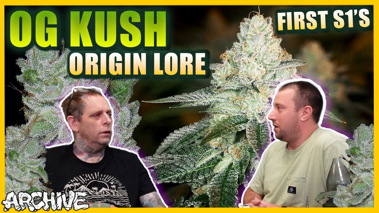 OG Kush History / Strain Lore