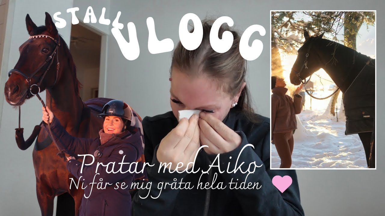 Vlogg - gråter jag hela tiden?! 😭 får kontakt med Aiko. 💔