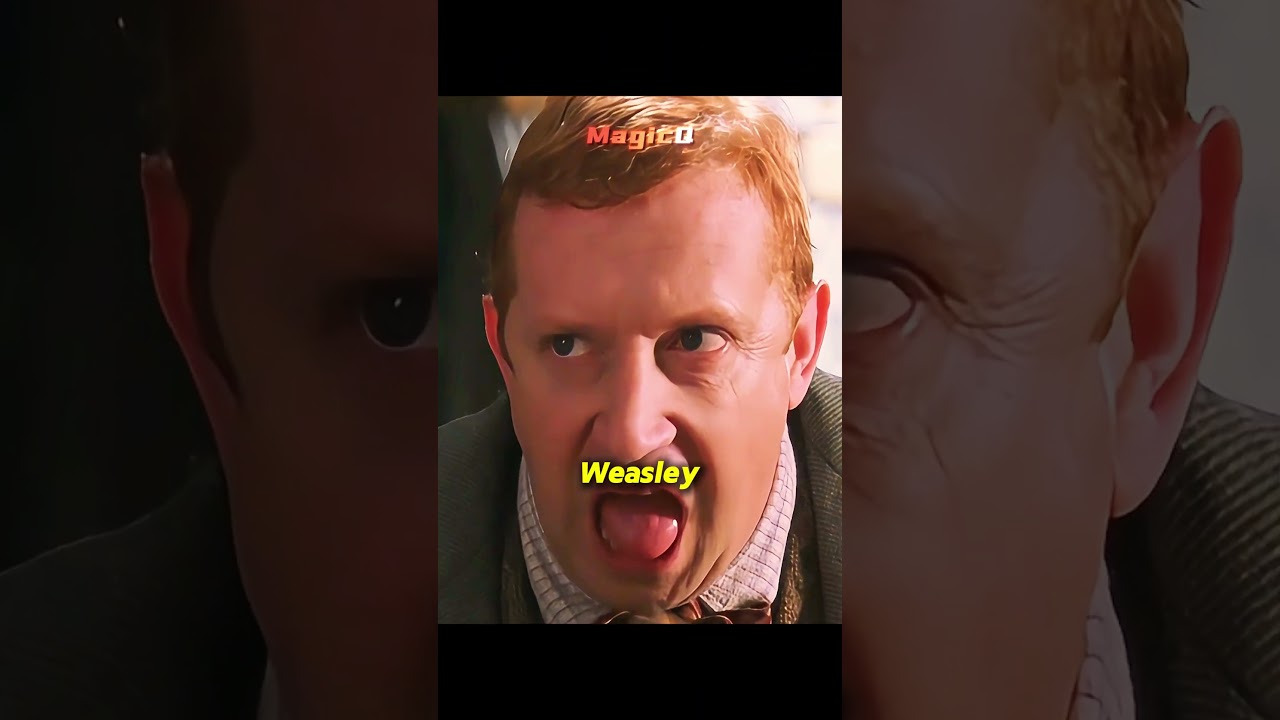 6 things about the Weasley family you probably didn't know  #harrypotter #potterhead #weasley