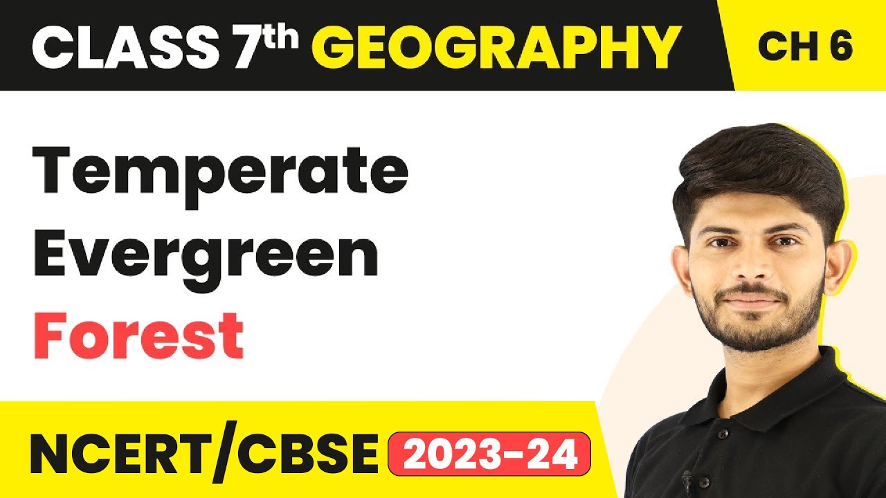 Temperate Evergreen Forest - Natural Vegetation and Wildlife | Class 7 Geography