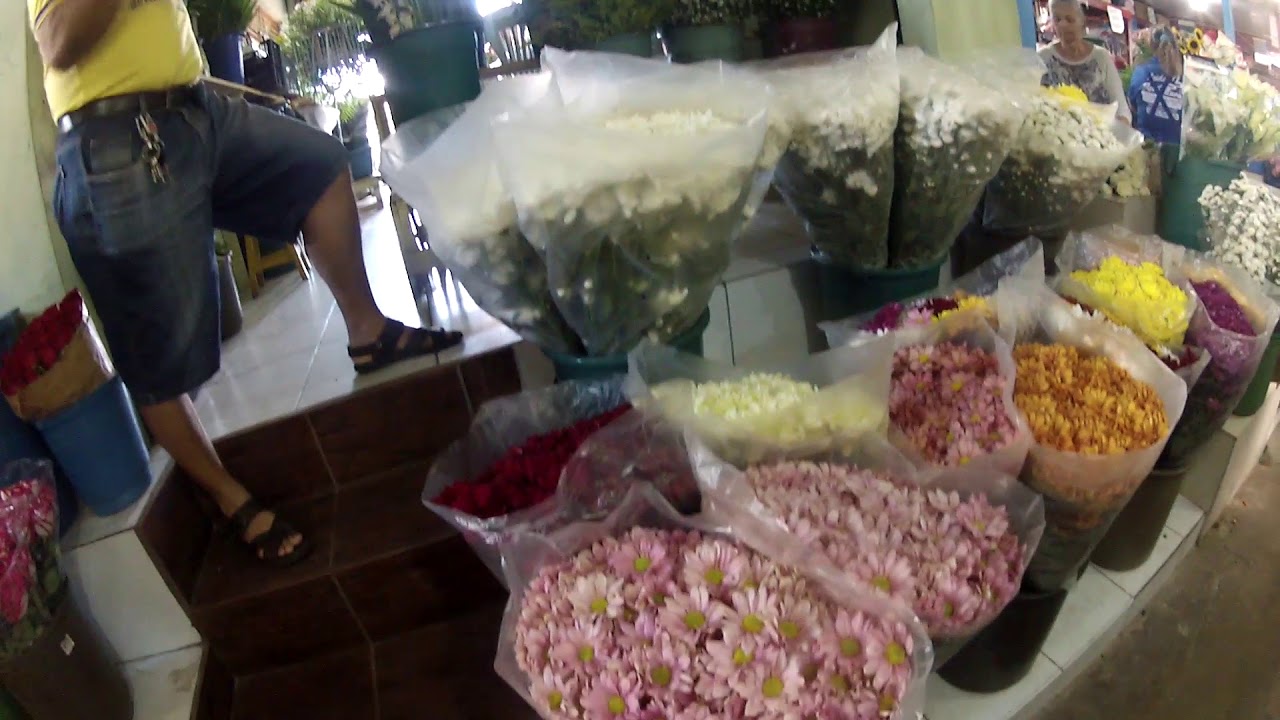 FEIRA DE FLORES DE CARUARU