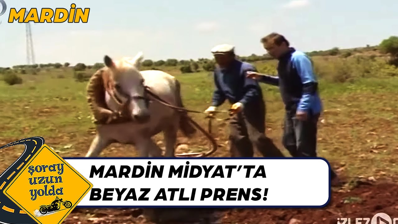 Beyaz Atlı Prens Tarlada! - Mardin | Şoray Uzun Yolda