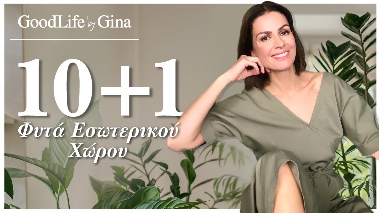 10+1 Ευεργετικά φυτά εσωτερικού χώρου | GoodLife by Gina