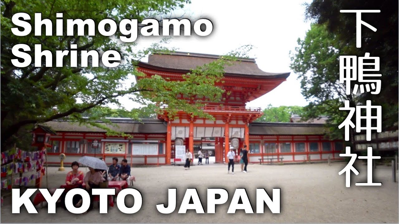 Kyoto, Shimogamo Shrine Walking - One of the Oldest Shinto Shrines, World Heritage Site [4K] POV