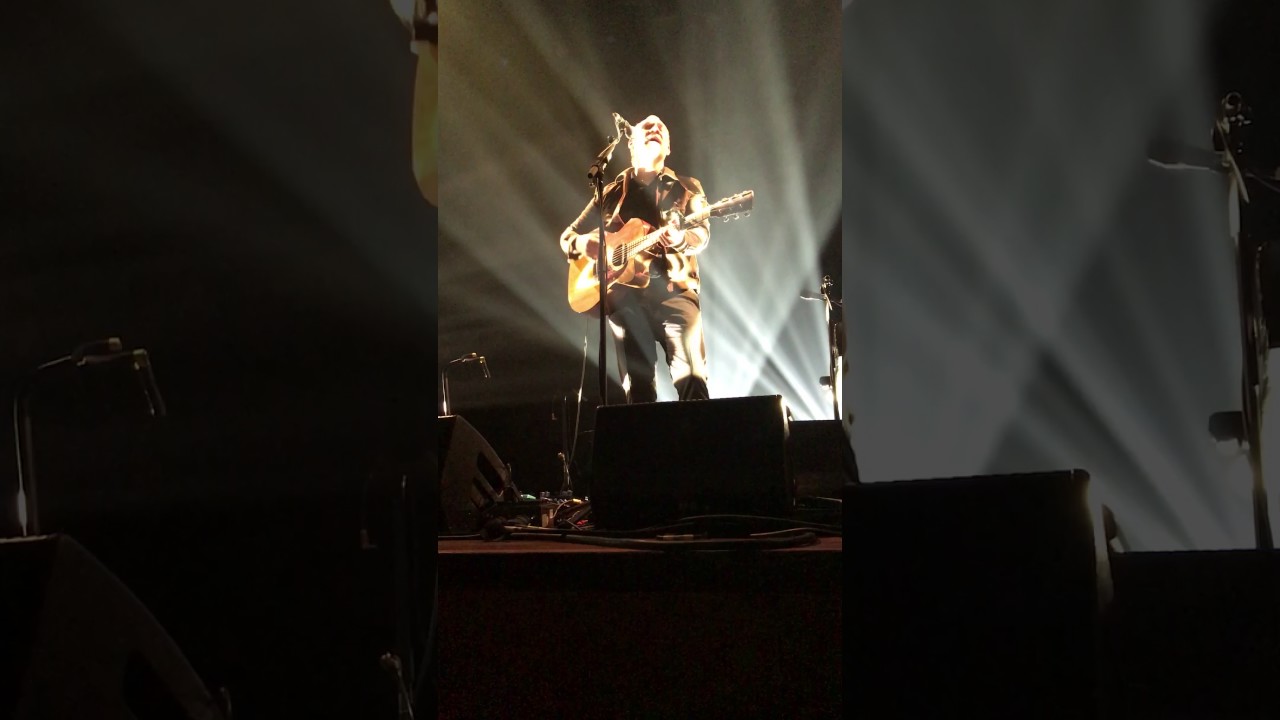 David Gray - Harder live