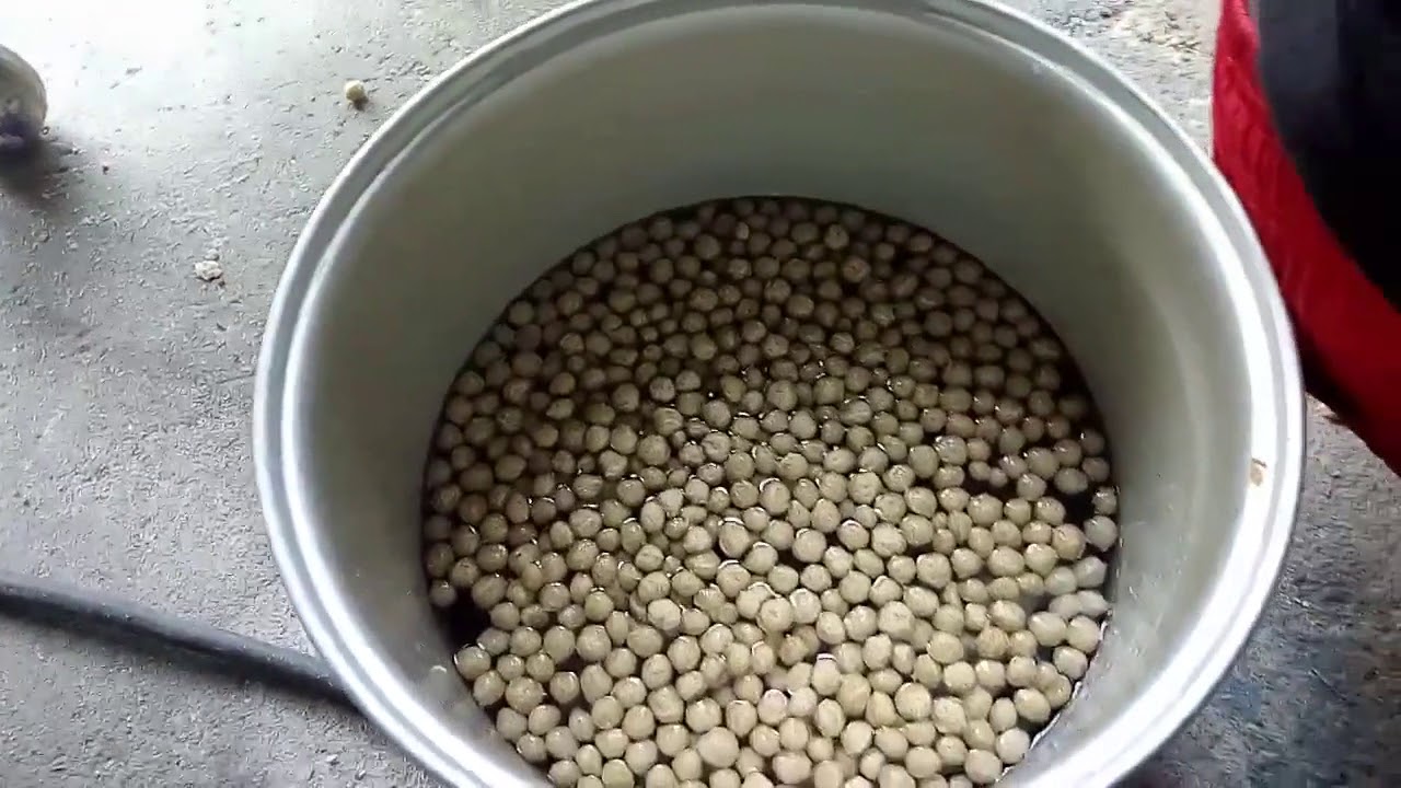 fabrication des granul&eacute;s pour poissons /machine &agrave; granul&eacute;s de poisson
