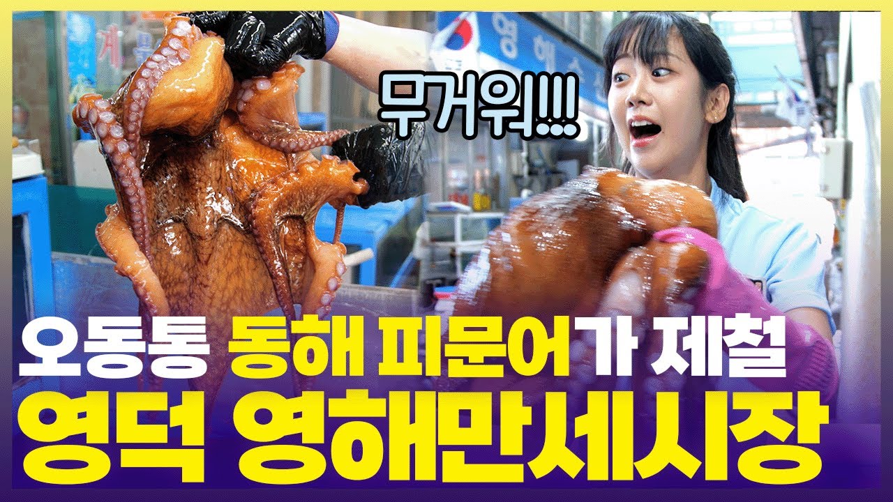 수산물 잡기의 달인 강혜연🐙피문어 번쩍 들어올리는 강철 체력 [6시 내고향] | KBS 250814 방송
