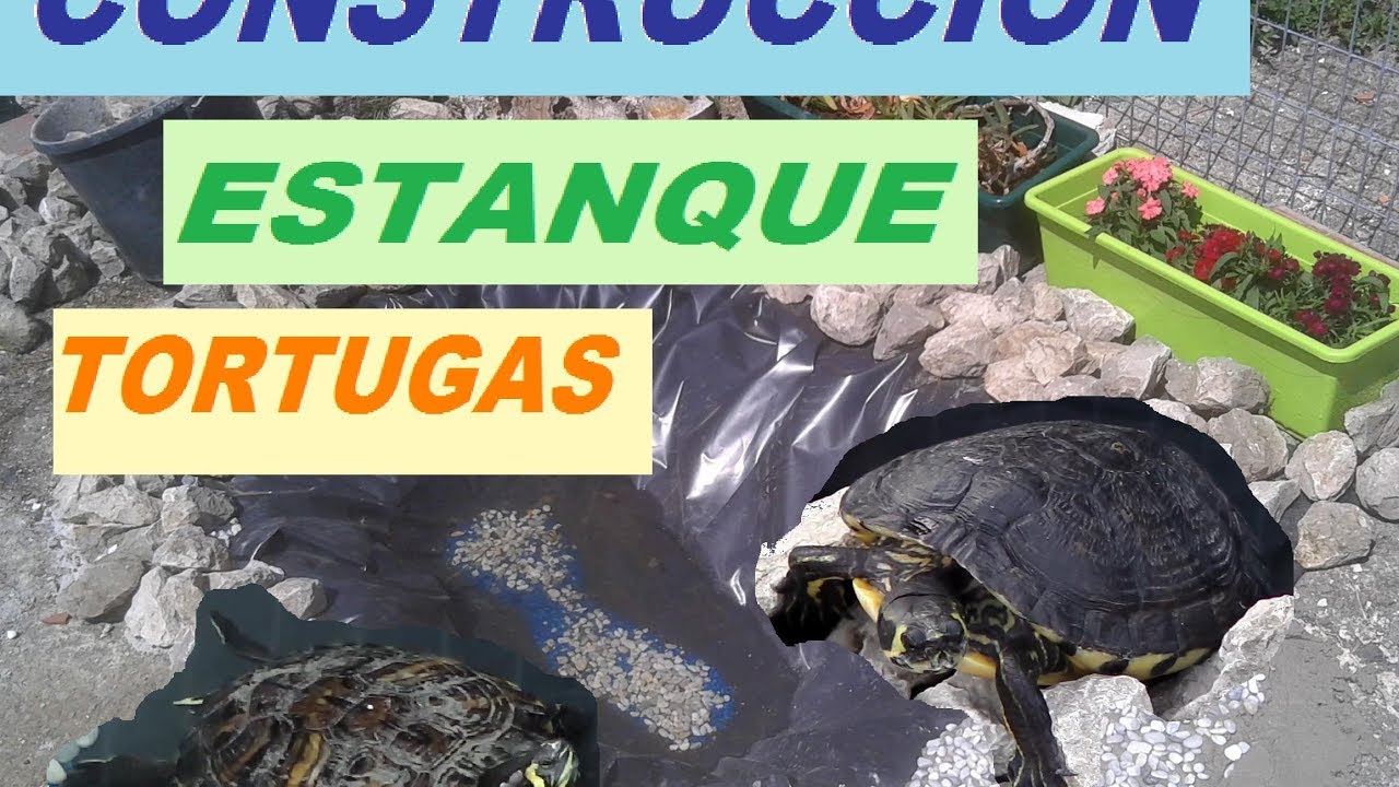 CONSTRUCCI&Oacute;N de ESTANQUE para TORTUGAS | ESTANQUE TORTUGUIL