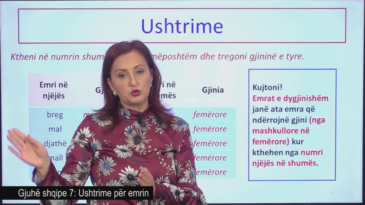 Gjuhë shqipe 7 - Ushtrime për emrin