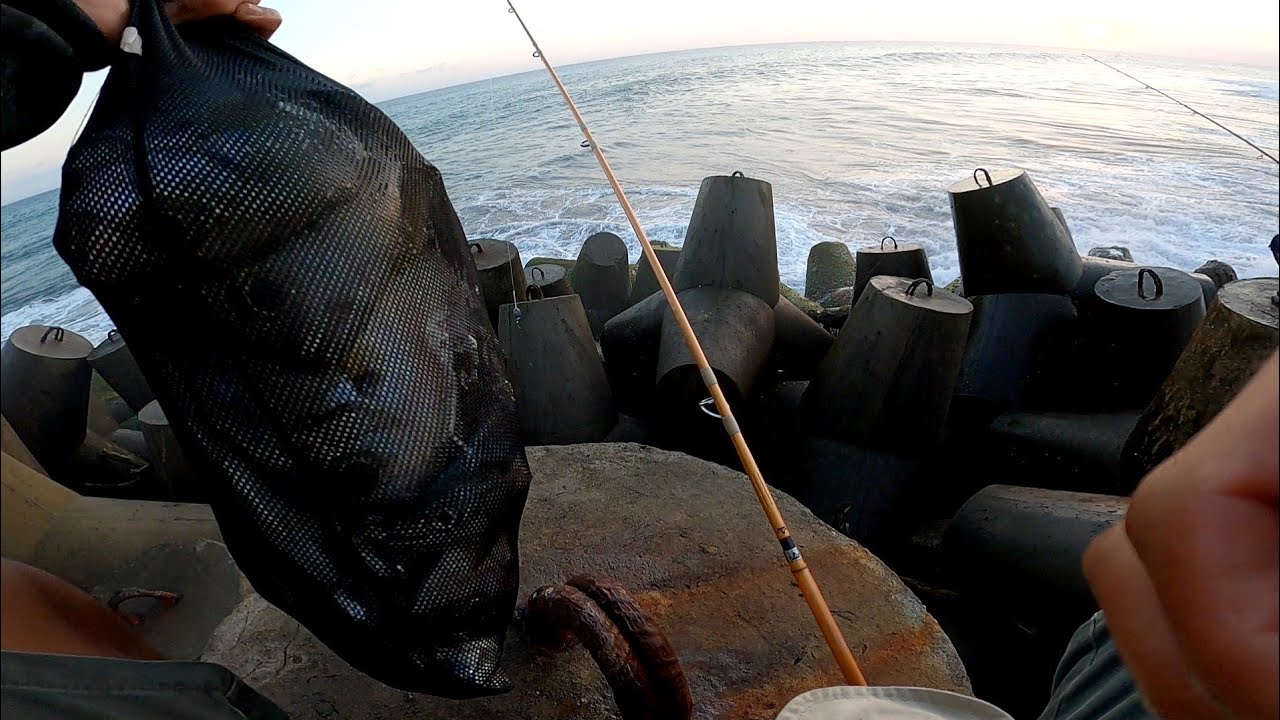 🔴Seperti mancing di kolam!!, wadah sampai nggak muat || mancing casting