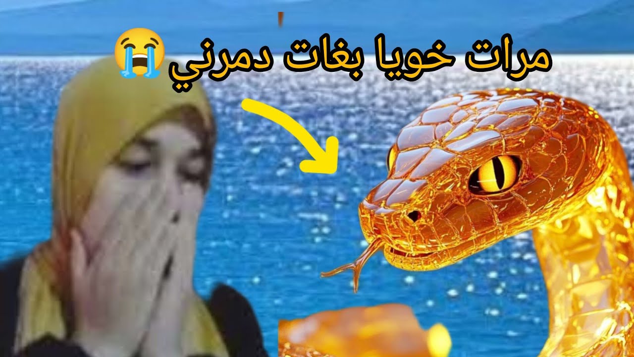 مرات خويا هيا سباب هذ المشكل 😭 في الاخير كلست على رسها