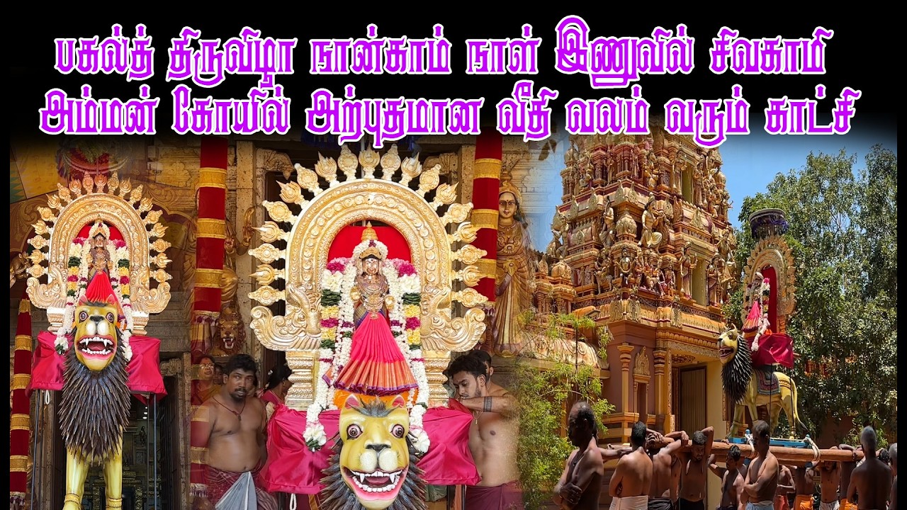 பகல்த் திருவிழா நான்காம் நாள் இணுவில் சிவகாமி  அம்மன் கோயில் அற்புதமான வீதி வலம் வரும் காட்சி