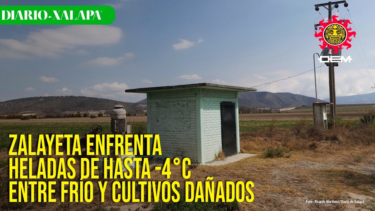 Campesinos de Zalayeta denuncian pagos injustos por sus cosechas