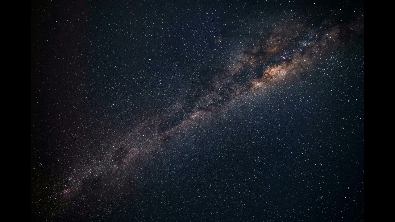 The 