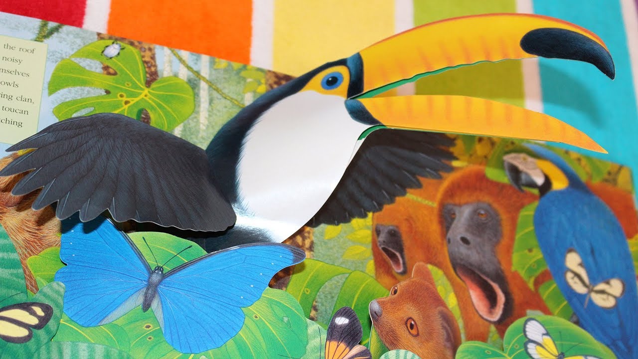 Sounds Of The Wild Jungle!