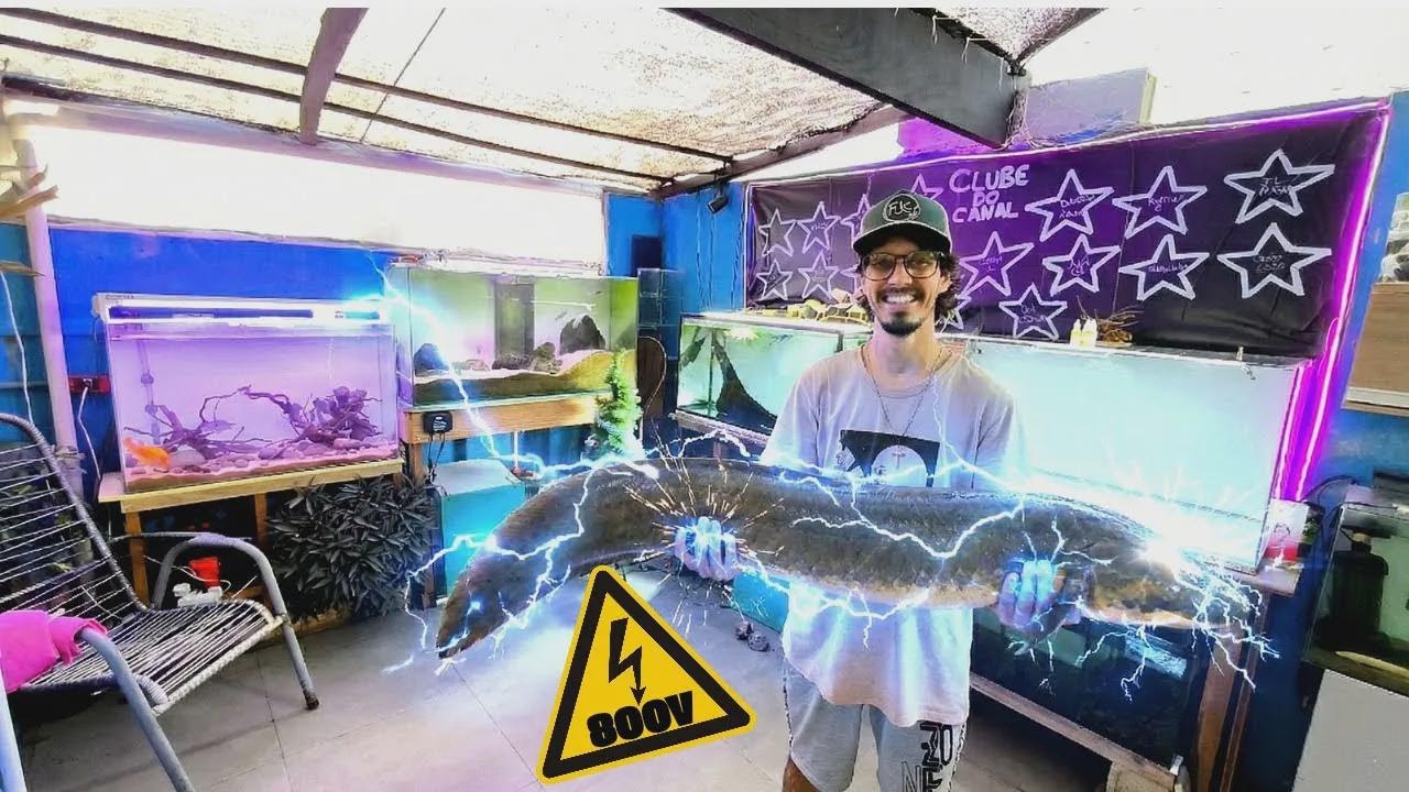 I Caught a Giant Electric Monster Fish!