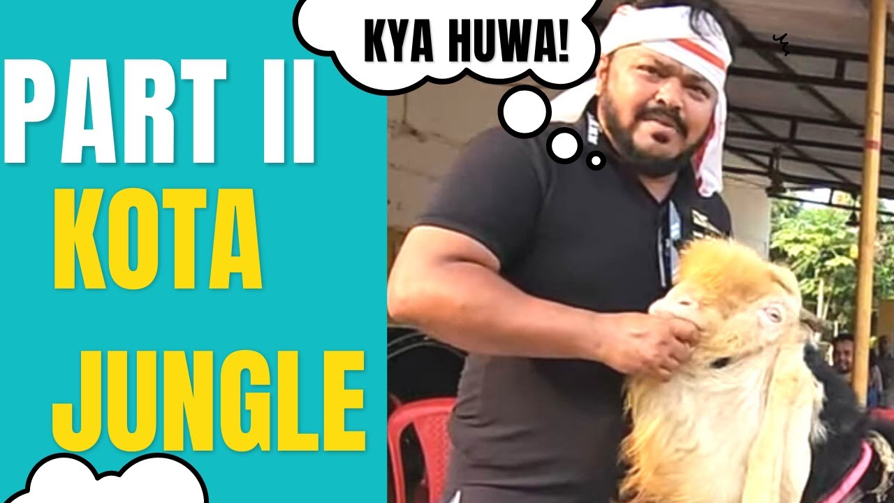 KYA HUWA ! KOTA JUNGLE | PART 2 | AAO DEKHE KAISE LIYE KOTA BAKRE | MEHNAT SE MILE KOTA BAKRE |