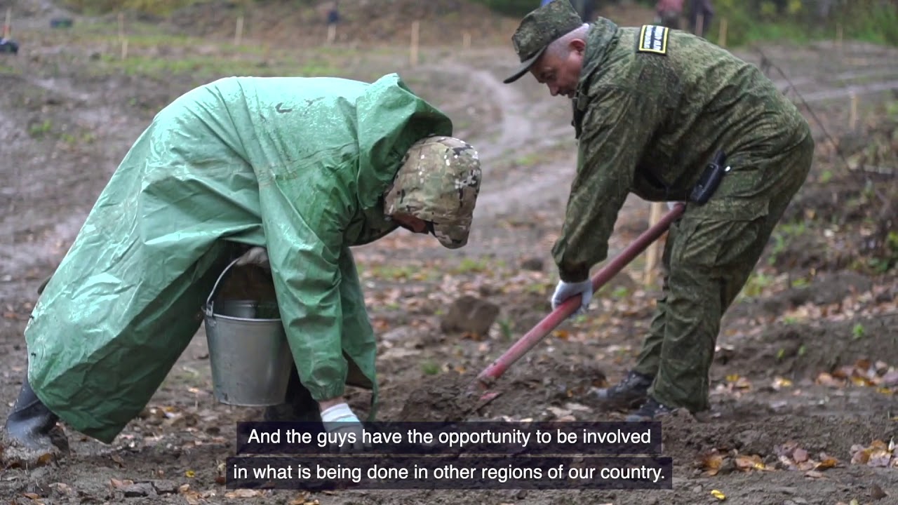 Siberian Tree, we planted 2,500 cedars on the Sredny Uksunai river in the Altai territory