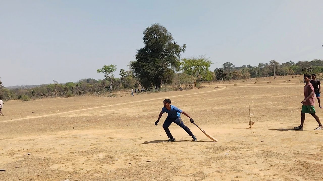 Cricket