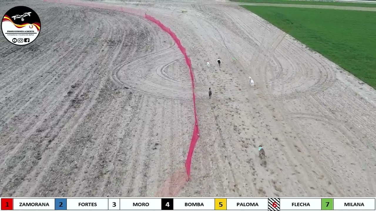 PRODUCCIONES ALBERTO II COPA DE GALGOS , 1200  METROS REGATES  LA PICONA