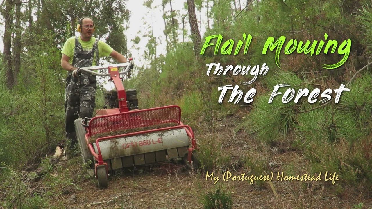 FLAIL MOWING THROUGH THE FOREST (Clearing a path to the farm land with GeoTech Pro GFM 860 LE)