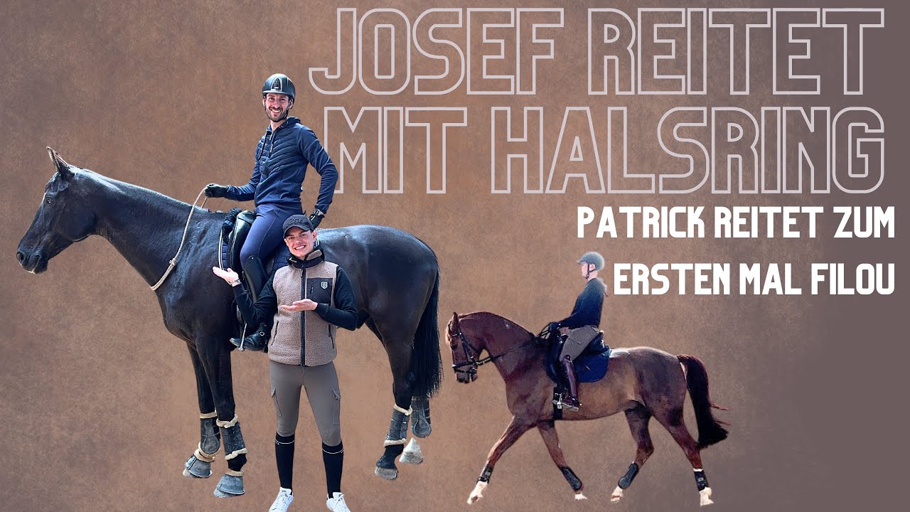 HALSRING REITEN - Jasper wird zum ersten Mal mit Halsring geritten 😱 Patrick reitet Filou 🐴