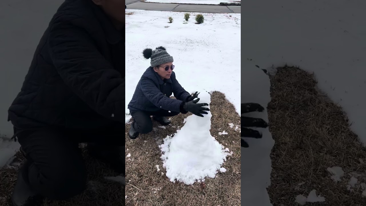 Day #4 Snow at Myrtle Beach S.C. 1/24/2025.Last Chance to make a Snow Man.