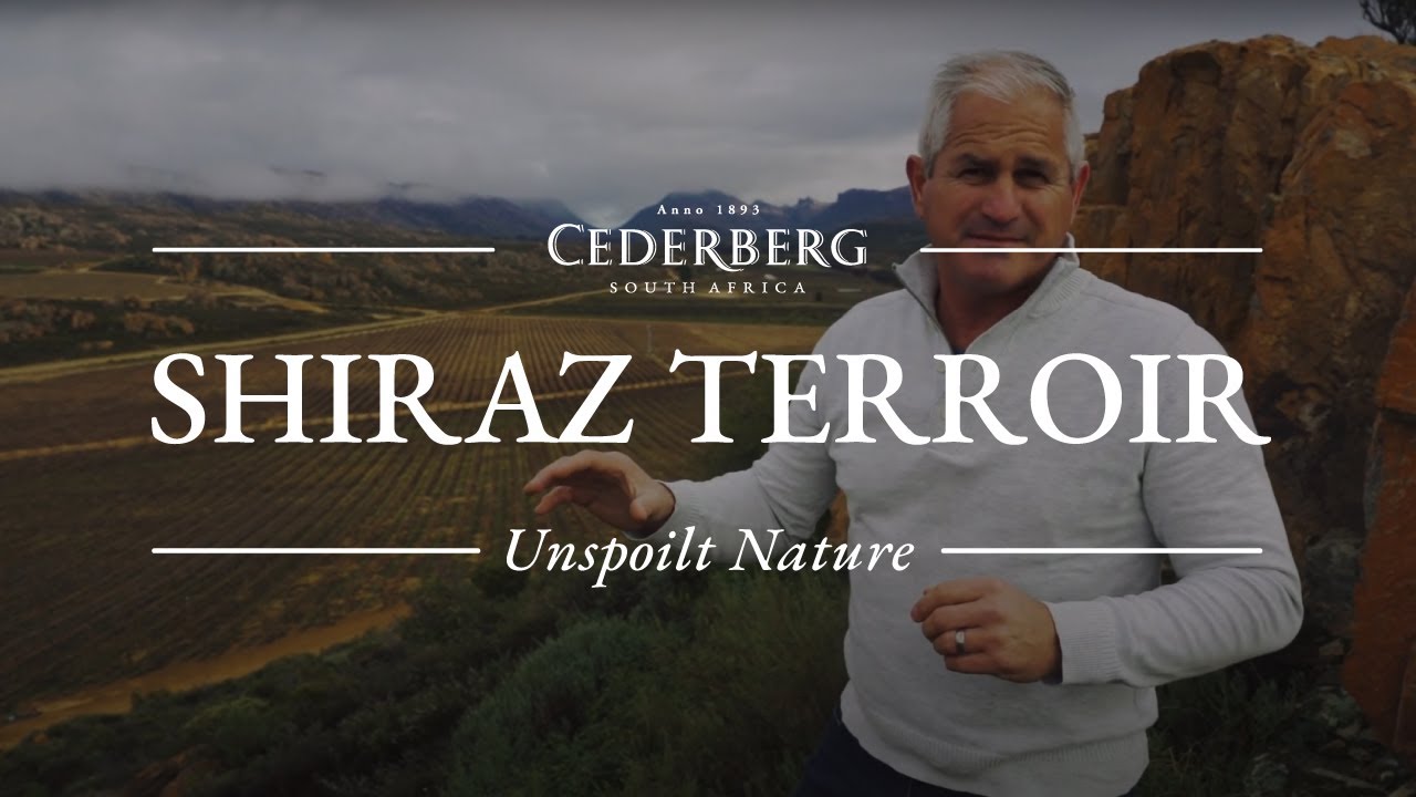 Terroir + Trellising with the Cederberg Vineyard Team