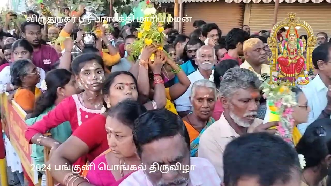 #virudhunagar #mariamman #panguni #pongal