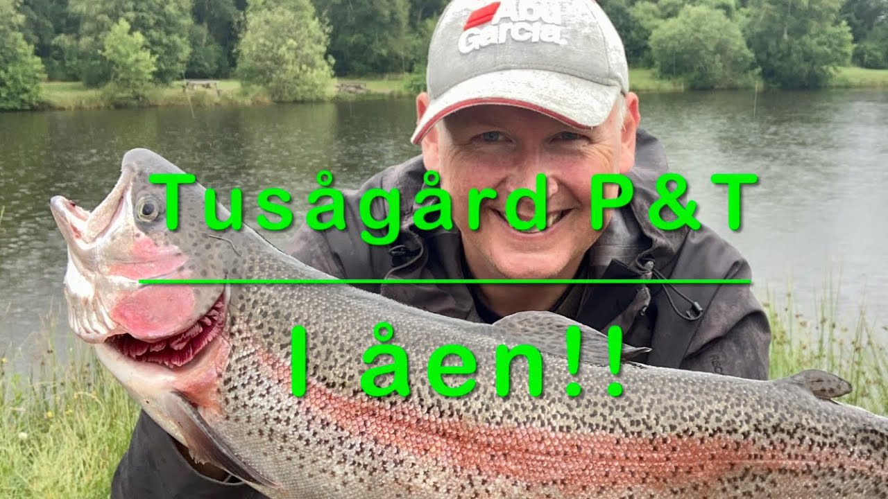Sommer i ørredsøen! Tusågård P&T