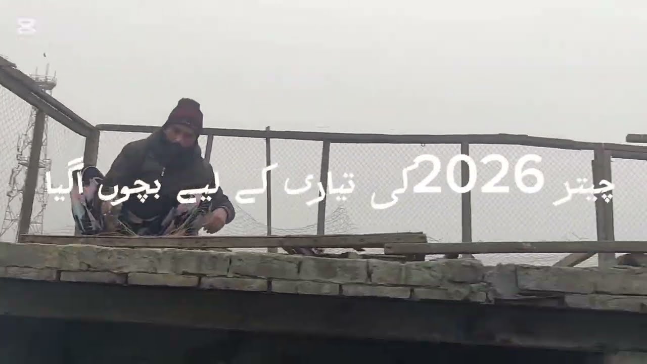 چھت کی تیاری مکمل ھوگی 2026کے لیے بچوں کا شوق 