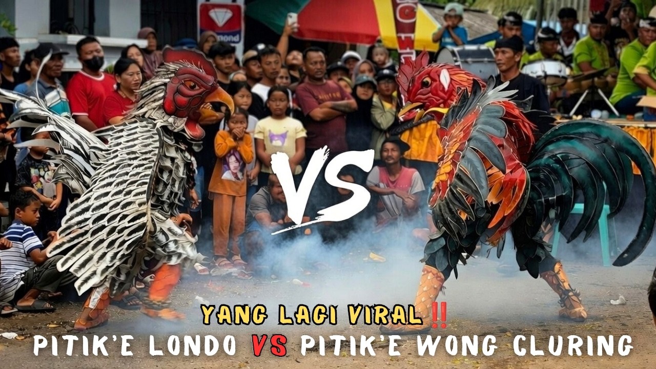 Pitik Tarung yang Lagi VIRAL‼️Jaranan Agung Wilis Cluring Banyuwangi 