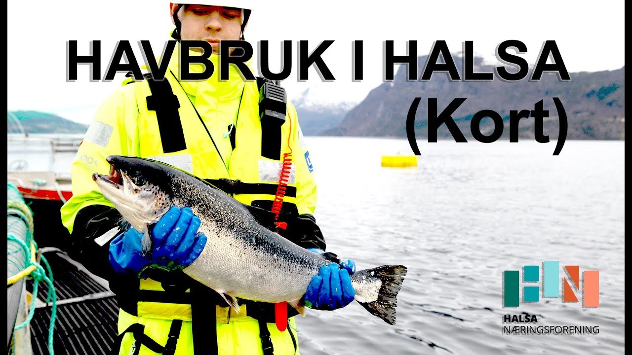 Havbruk i Halsa