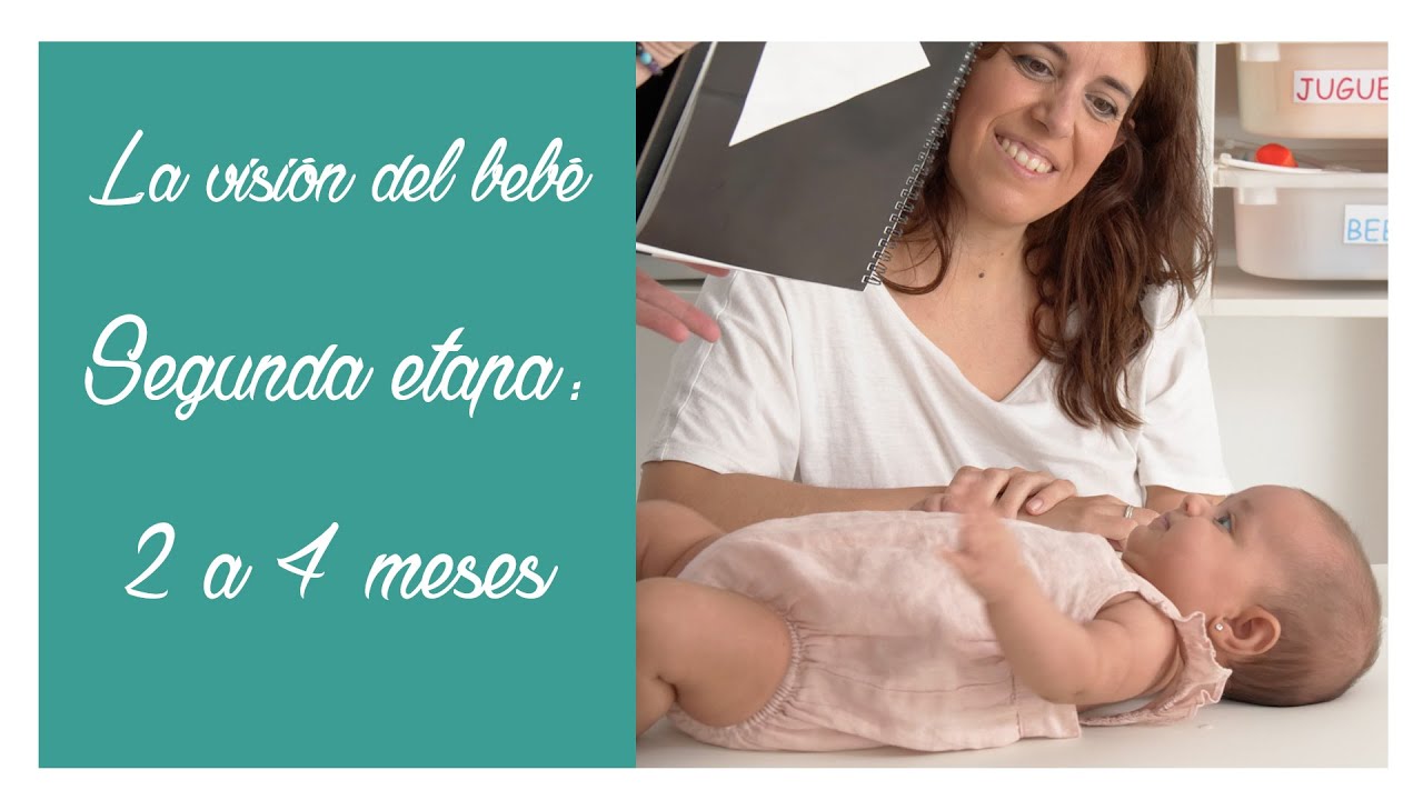 La visión del bebé 👶🏻 Segunda etapa. Entre 2 y 4 meses.