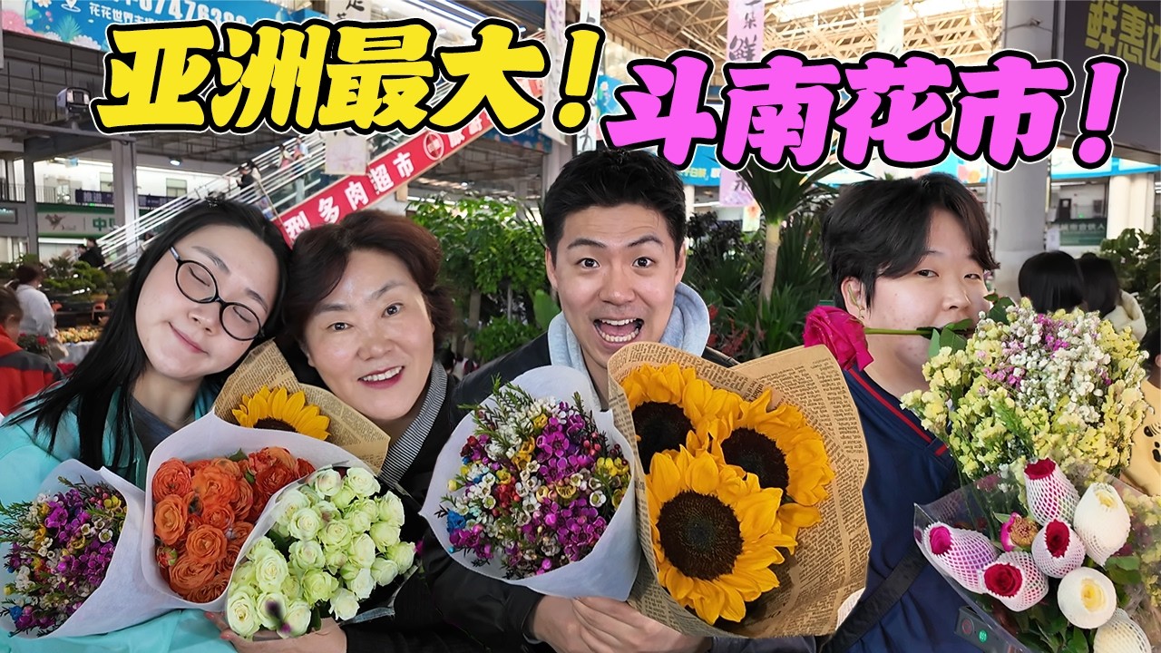 人生第一次见这么多鲜花！韩国人逛亚洲最大花市~