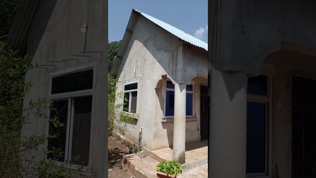 🇹🇿SHAMBA HILI PAMOJA NA NYUMBA ZAKE ZINAUZWA NA LIPO TUNGUU.🇹🇿BEI MIL 330,000,000 ☎️☎️+255777-709695