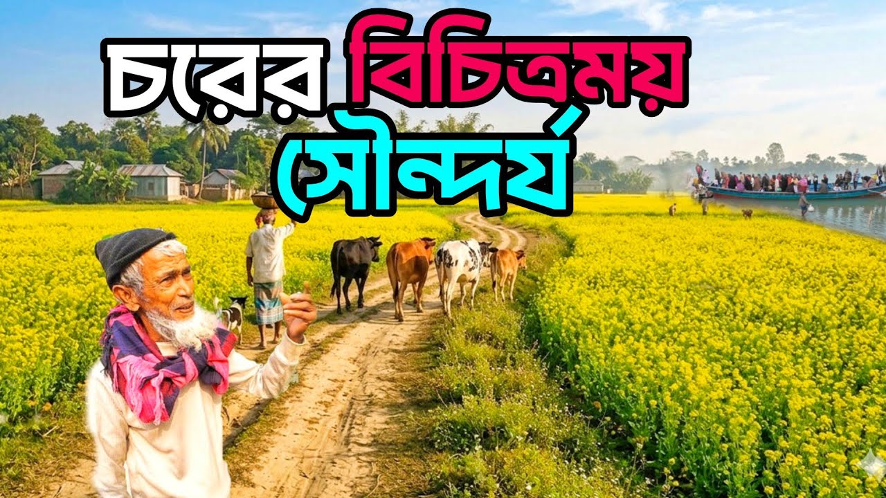 ভাঙ্গা চরের দুর্বিষহ জীবন যাপন | Padmar char Hokiyetpur | The sagor | 2026