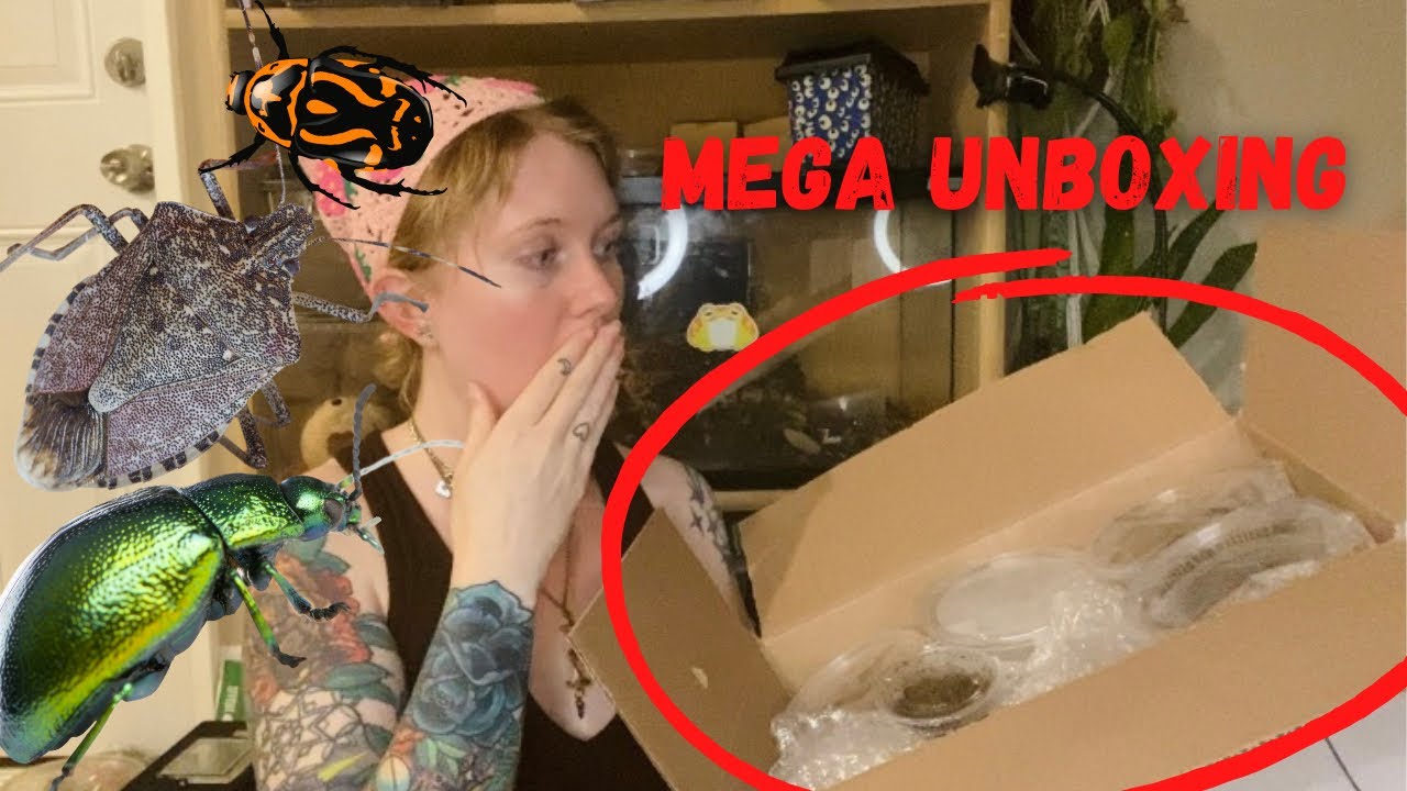 Распаковка МЕГАживого жука из Arthropods от Juice!