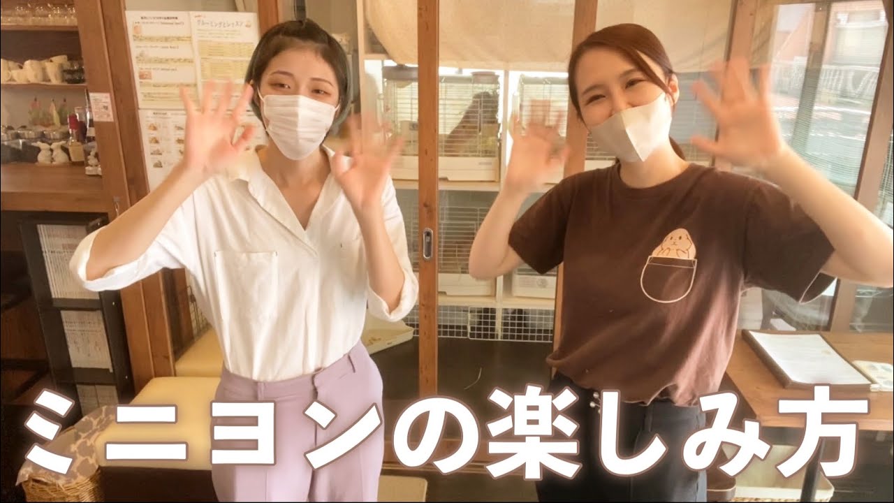 【完全マニュアル✏️】ミニヨンの楽しみ方をお届けします！