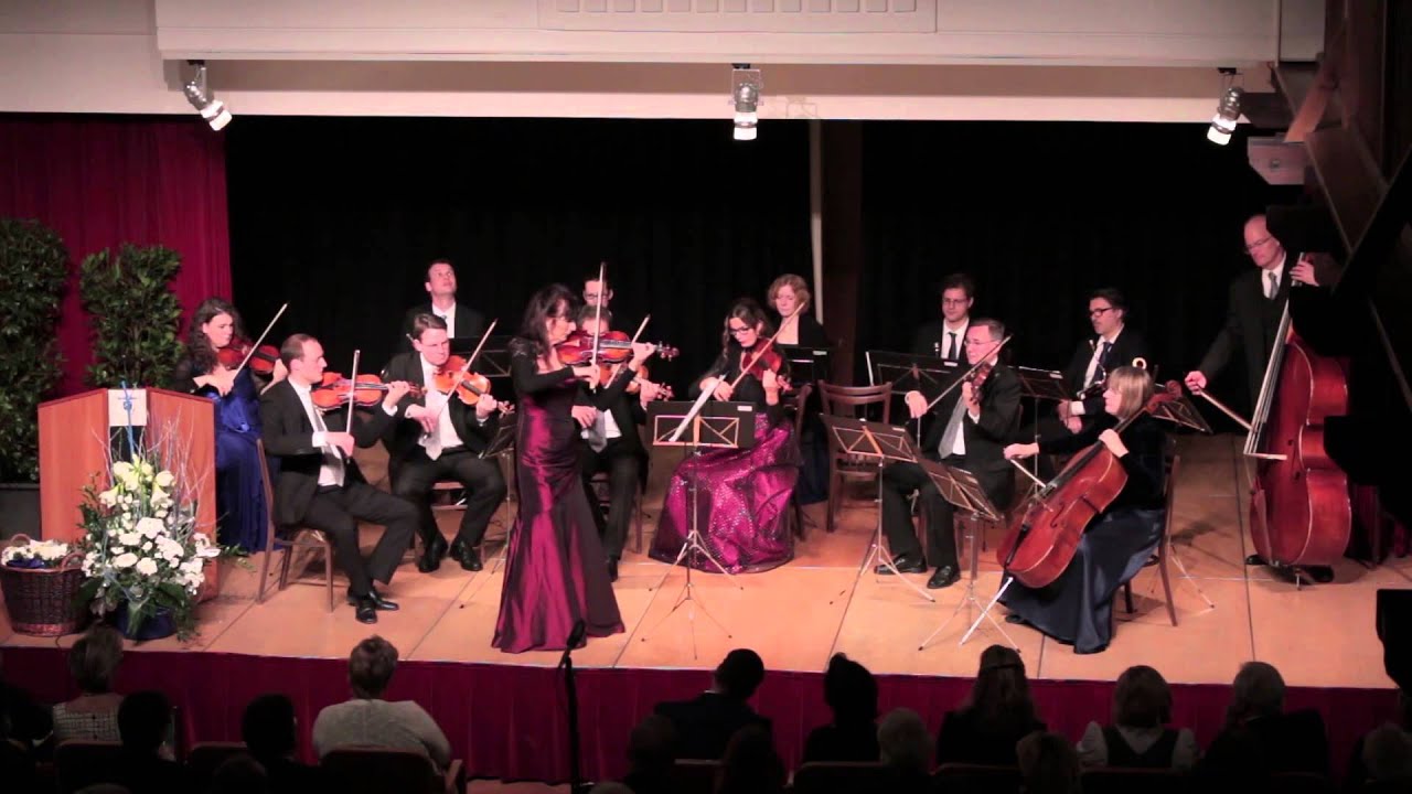 Carl Friedemann - Souvenir de sarasate (Wiener Strauss Company)