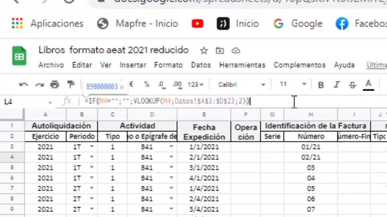 Libros de IVA e IRPF formato electrónico AEAT