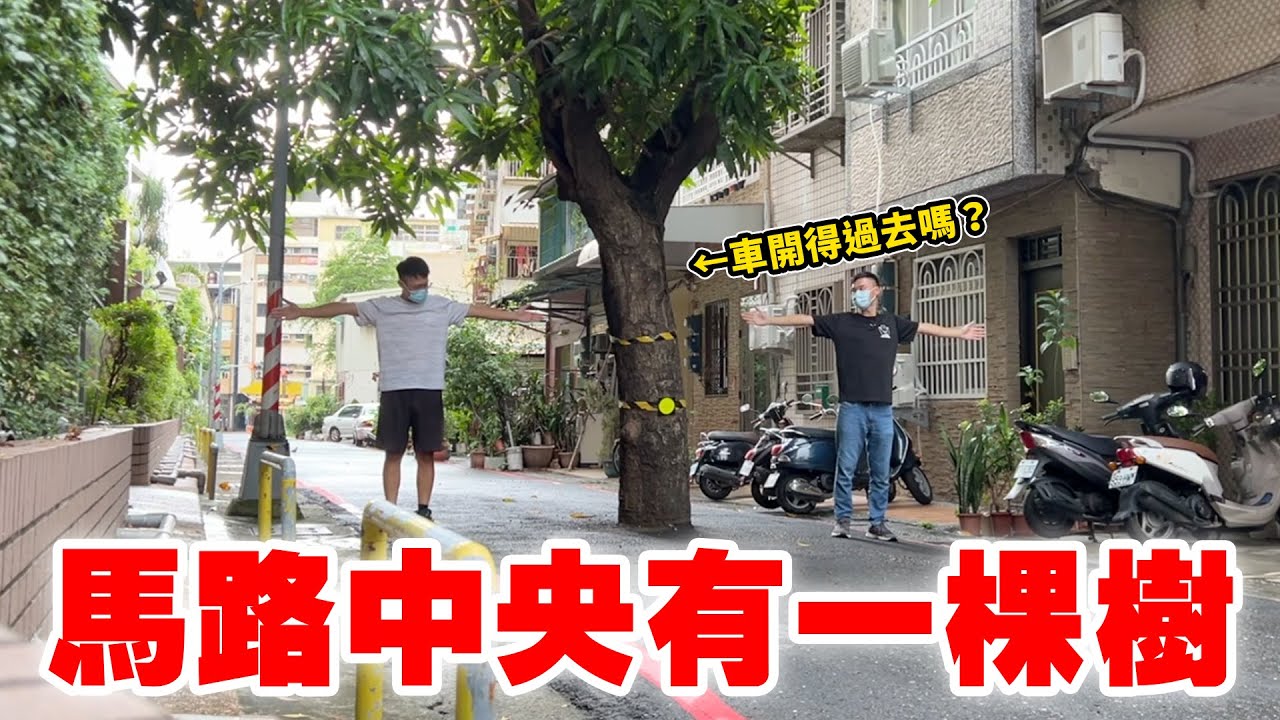 台灣奇景EP2 馬路中央有一棵樹！