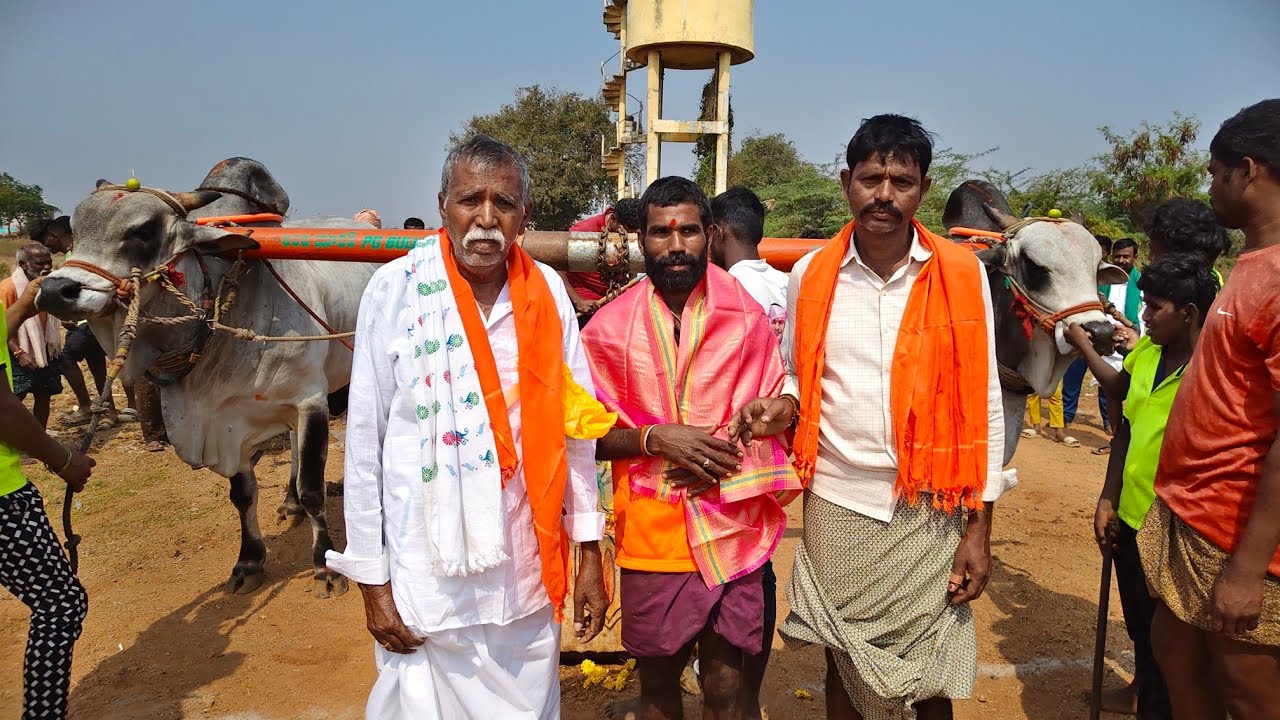 2026-నరశ్యామల.న్వూకేటగిరి.1వ జత.PG BULLS జగదీష్ యాదవ్ గారు పందికోన గ్రామం కర్నూలు జిల్లా