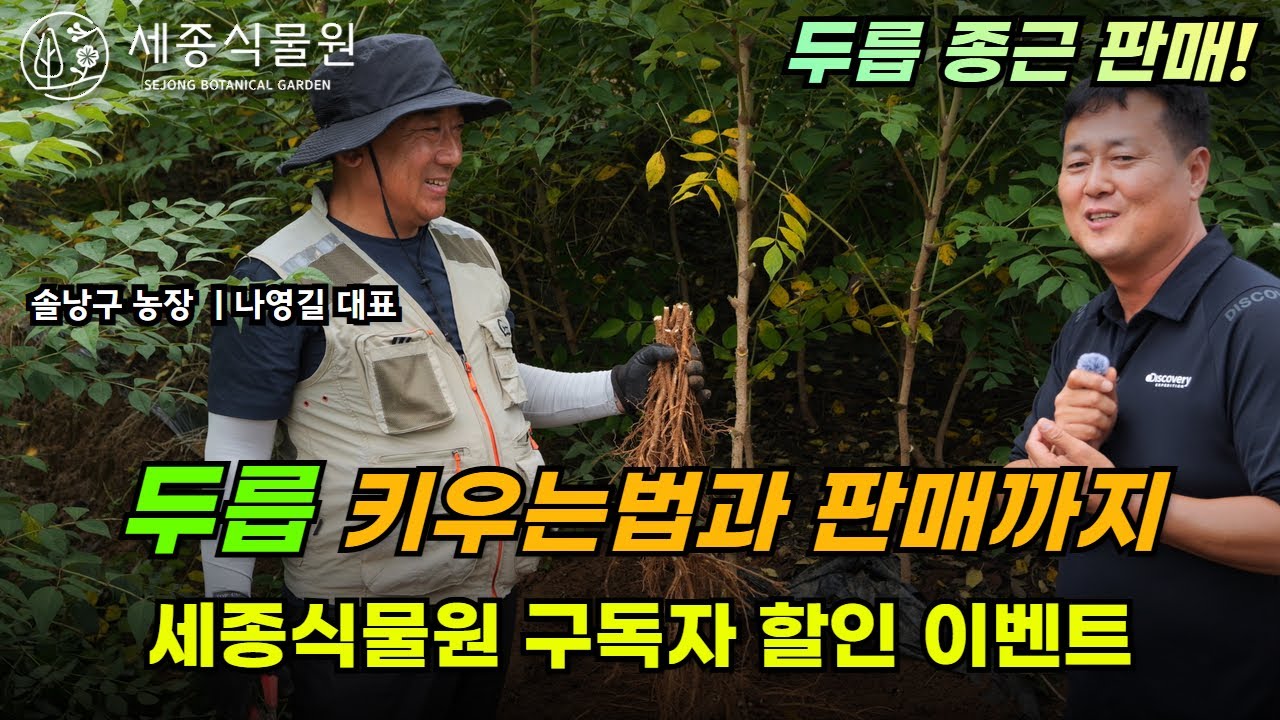 두릅 종근 판매! 두릅 키우는법과 판매까지 #두릅 #농업