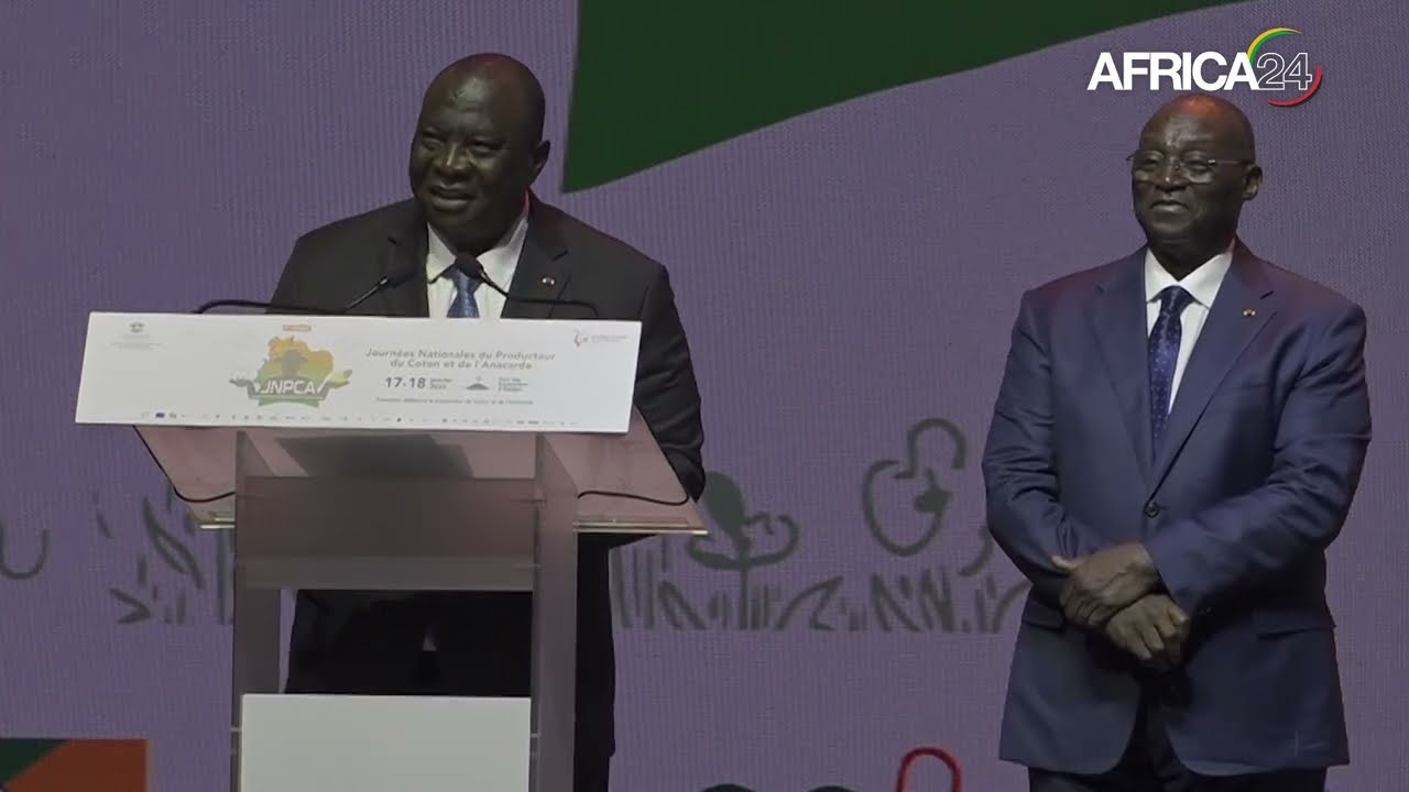 Côte d'Ivoire : le kilogramme de noix de cajou fixé à 425 FCFA