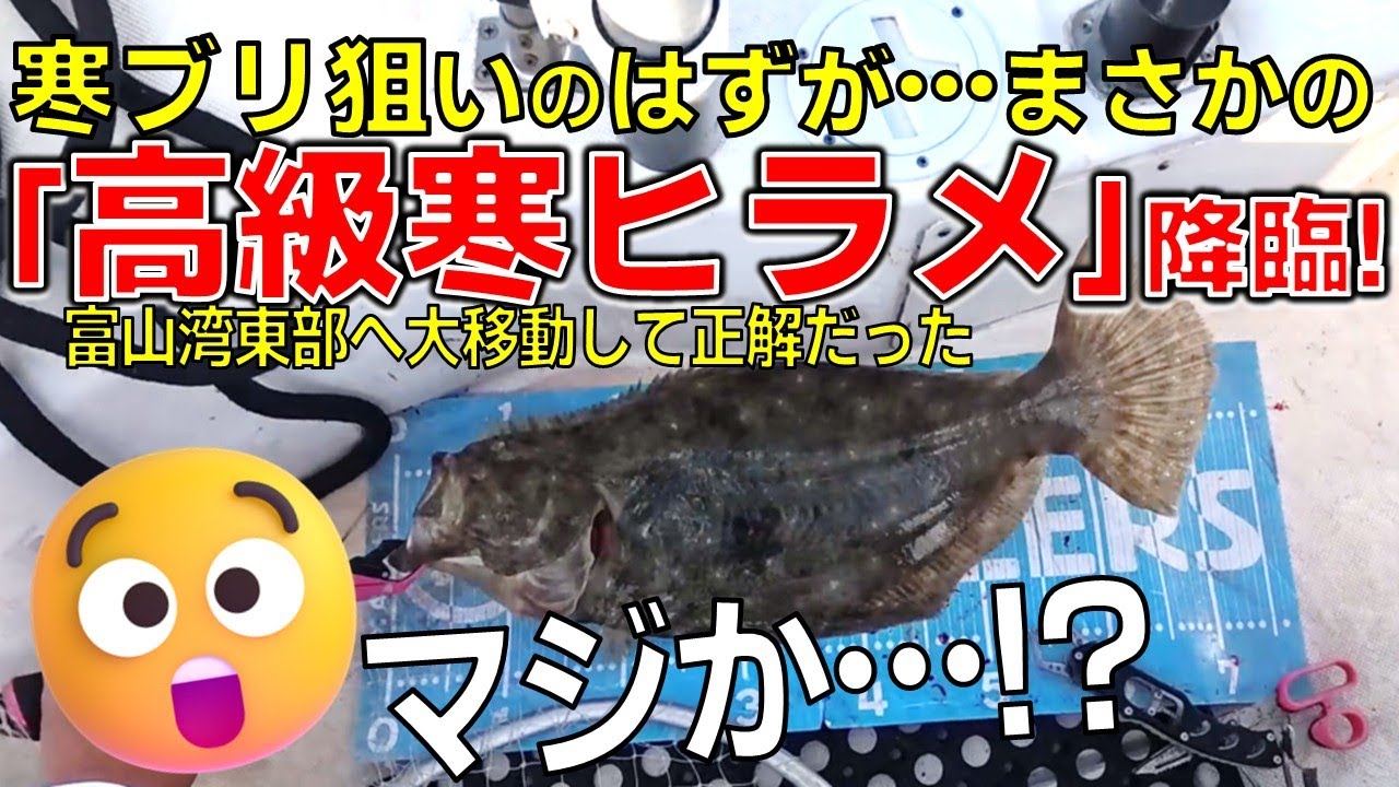 【ジギング】寒ブリ探していたら初の座布団ヒラメ？【富山湾東部】